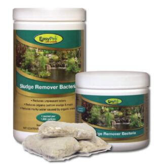 Sludge Remover Bacteria