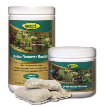 Sludge Remover Bacteria