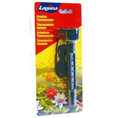 Floating Thermometer